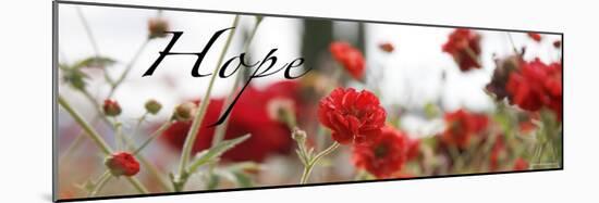 Hope Flowers-Nicole Katano-Mounted Photo