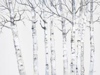 Birch Grove 1-Hope Smith-Art Print