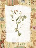 Collage of Flowers and Scraps of Material-Hope Street Designs-Giclee Print