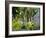 Hope Town, 200 Year Old Settlement on Elbow Cay, Abaco Islands, Bahamas, Caribbean, West Indies-Nedra Westwater-Framed Photographic Print