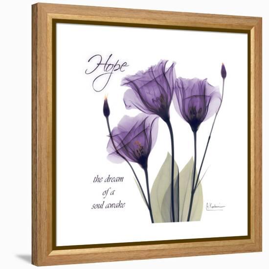 Hope Tulip-Albert Koetsier-Framed Stretched Canvas