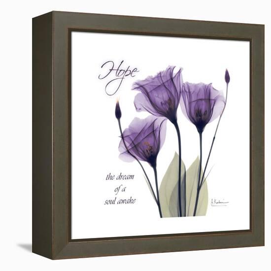 Hope Tulip-Albert Koetsier-Framed Stretched Canvas