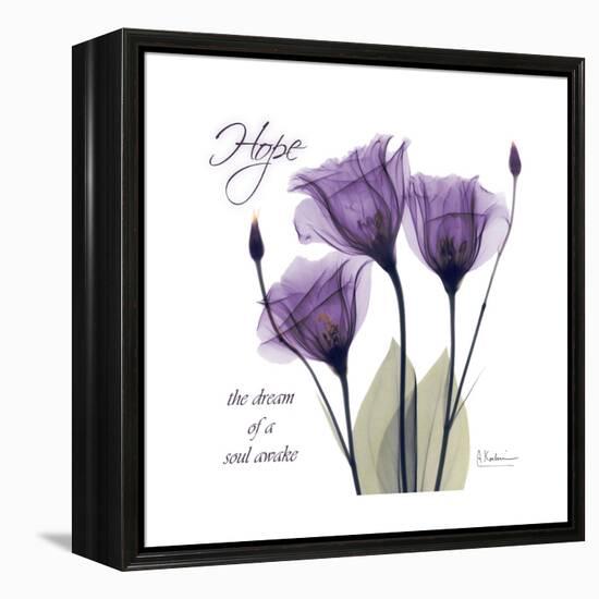 Hope Tulip-Albert Koetsier-Framed Stretched Canvas