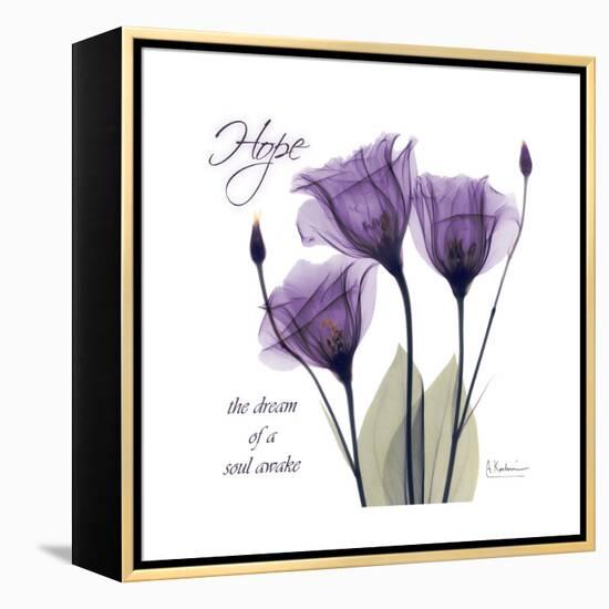Hope Tulip-Albert Koetsier-Framed Stretched Canvas