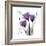 Hope Tulip-Albert Koetsier-Framed Premium Giclee Print