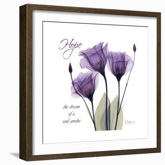 Hope Tulip-Albert Koetsier-Framed Premium Giclee Print