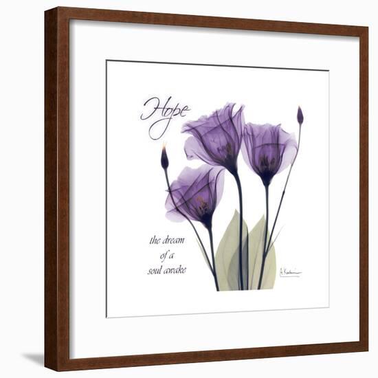 Hope Tulip-Albert Koetsier-Framed Premium Giclee Print