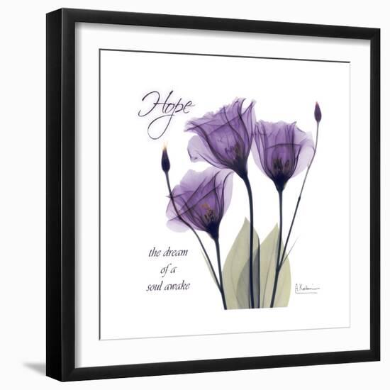 Hope Tulip-Albert Koetsier-Framed Premium Giclee Print