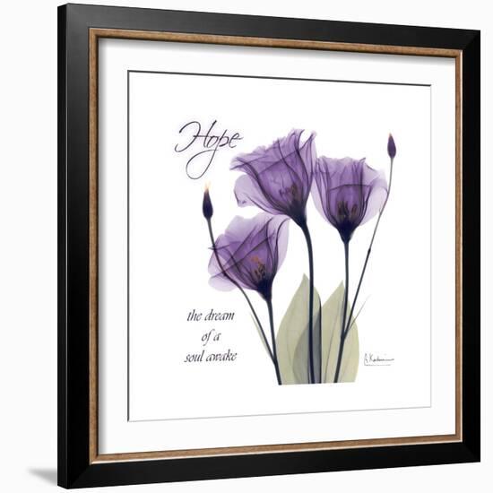 Hope Tulip-Albert Koetsier-Framed Premium Giclee Print