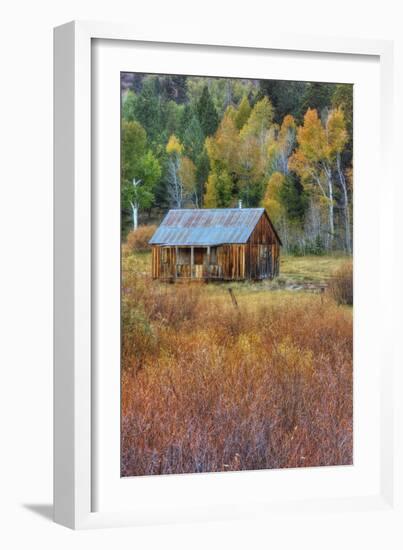 Hope Valley Cabin Scene-Vincent James-Framed Photographic Print