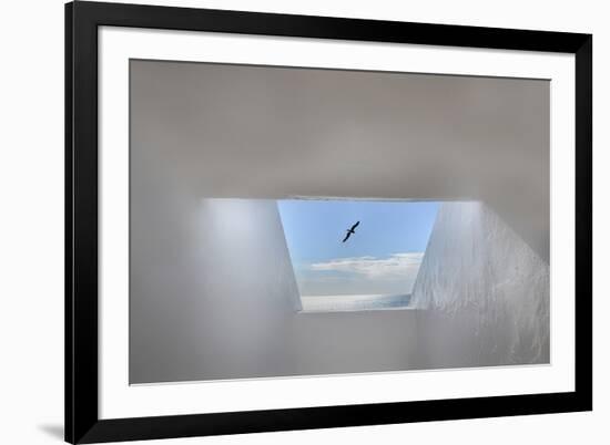 Hope-Anita Palceska-Framed Photographic Print