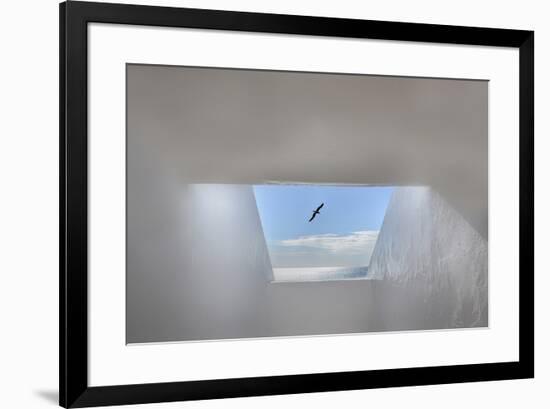 Hope-Anita Palceska-Framed Photographic Print