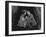 Hopelessly Devoted to You-null-Framed Photo