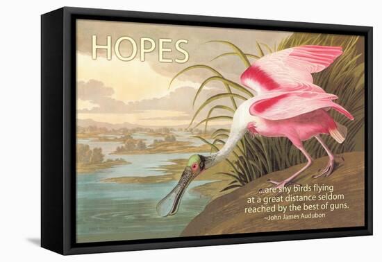 Hopes Are Shy Birds-John James Audubon-Framed Stretched Canvas