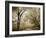 Hopewell Shores I-Alan Hausenflock-Framed Photographic Print