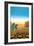Hopi Blue Corn, 1998-Larry Smart-Framed Premium Giclee Print
