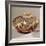 Hopi 'Bullware' Jar, from Arizona (Ceramic)-American-Framed Giclee Print