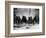 Hopi Grinding Grain, C1906-Edward S^ Curtis-Framed Photographic Print