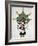 Hopi Kachinas: Small Figure, Kneeling, Wearing Large Headdress-null-Framed Giclee Print