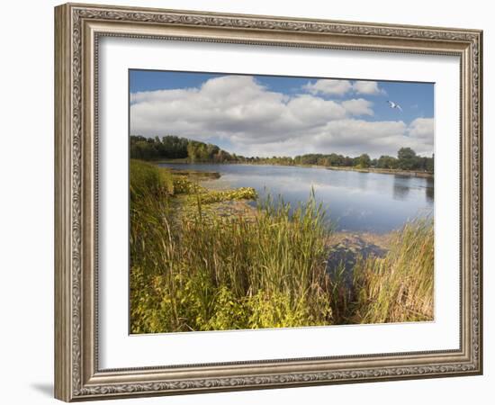 Hopkins Lake, Owosso, MI ‘10-Monte Nagler-Framed Photographic Print