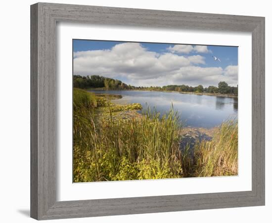 Hopkins Lake, Owosso, MI ‘10-Monte Nagler-Framed Photographic Print