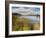 Hopkins Lake, Owosso, MI ‘10-Monte Nagler-Framed Photographic Print