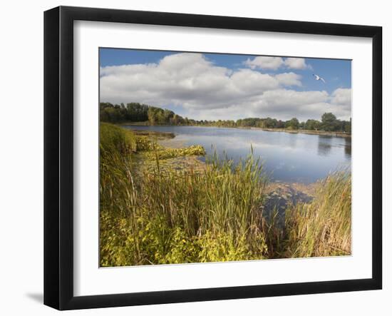 Hopkins Lake, Owosso, MI ‘10-Monte Nagler-Framed Photographic Print