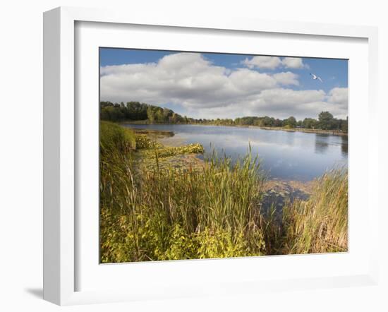 Hopkins Lake, Owosso, MI ‘10-Monte Nagler-Framed Photographic Print