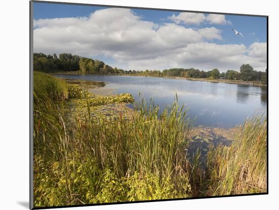 Hopkins Lake, Owosso, MI ‘10-Monte Nagler-Mounted Photographic Print