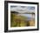 Hopkins Lake, Owosso, MI ‘10-Monte Nagler-Framed Photographic Print