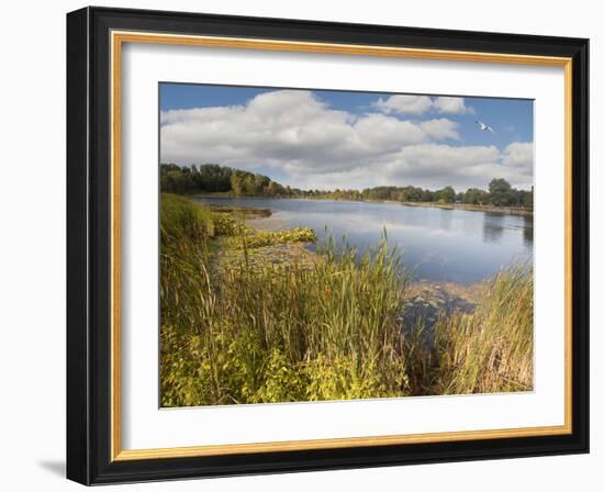 Hopkins Lake, Owosso, MI ‘10-Monte Nagler-Framed Photographic Print