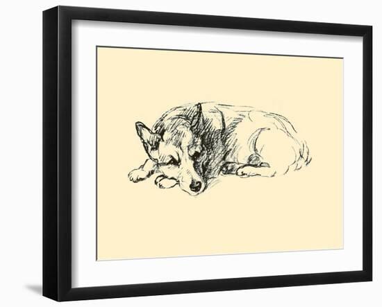 Hoppy (Welsh Corgi)-Lucy Dawson-Framed Art Print