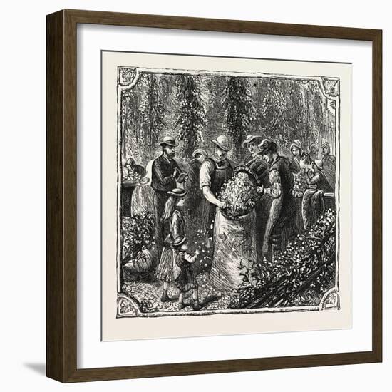 Hops and Hop Pickers, in a Kentish Hop Garden, Kent, England, Measuring the Hops, 1876, Uk-null-Framed Giclee Print