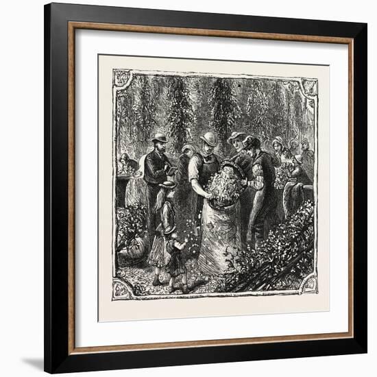 Hops and Hop Pickers, in a Kentish Hop Garden, Kent, England, Measuring the Hops, 1876, Uk-null-Framed Giclee Print