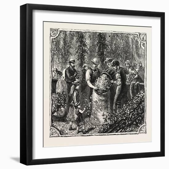 Hops and Hop Pickers, in a Kentish Hop Garden, Kent, England, Measuring the Hops, 1876, Uk-null-Framed Giclee Print