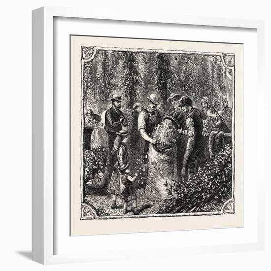 Hops and Hop Pickers, in a Kentish Hop Garden, Kent, England, Measuring the Hops, 1876, Uk-null-Framed Giclee Print