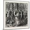 Hops and Hop Pickers, in a Kentish Hop Garden, Kent, England, Measuring the Hops, 1876, Uk-null-Mounted Giclee Print