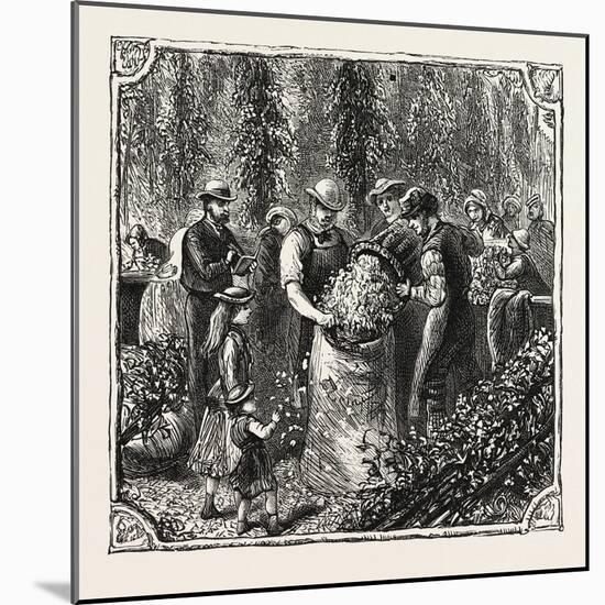 Hops and Hop Pickers, in a Kentish Hop Garden, Kent, England, Measuring the Hops, 1876, Uk-null-Mounted Giclee Print