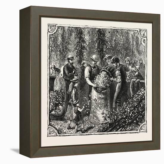 Hops and Hop Pickers, in a Kentish Hop Garden, Kent, England, Measuring the Hops, 1876, Uk-null-Framed Premier Image Canvas