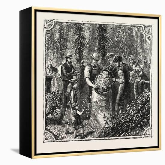 Hops and Hop Pickers, in a Kentish Hop Garden, Kent, England, Measuring the Hops, 1876, Uk-null-Framed Premier Image Canvas