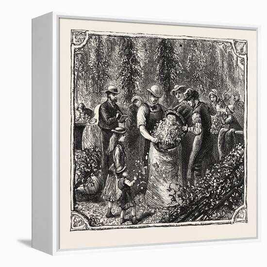 Hops and Hop Pickers, in a Kentish Hop Garden, Kent, England, Measuring the Hops, 1876, Uk-null-Framed Premier Image Canvas