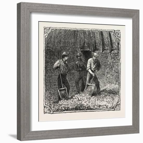 Hops and Hop Pickers, in a Kentish Hop Garden, Kent, England, Turning Hops in the Kiln, 1876, Uk-null-Framed Giclee Print