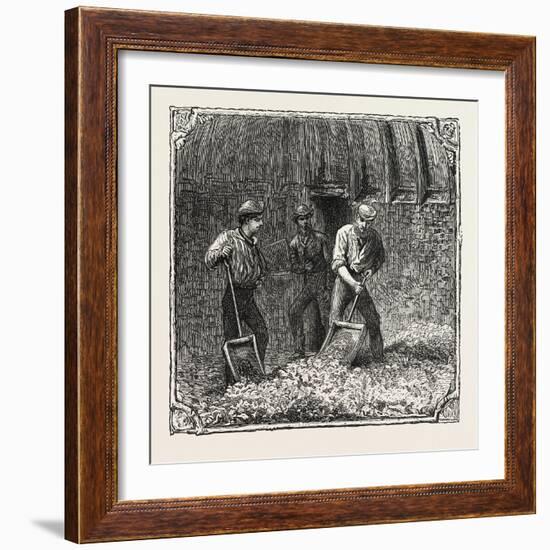 Hops and Hop Pickers, in a Kentish Hop Garden, Kent, England, Turning Hops in the Kiln, 1876, Uk-null-Framed Giclee Print