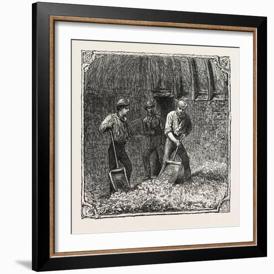 Hops and Hop Pickers, in a Kentish Hop Garden, Kent, England, Turning Hops in the Kiln, 1876, Uk-null-Framed Giclee Print