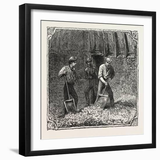 Hops and Hop Pickers, in a Kentish Hop Garden, Kent, England, Turning Hops in the Kiln, 1876, Uk-null-Framed Giclee Print