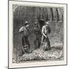 Hops and Hop Pickers, in a Kentish Hop Garden, Kent, England, Turning Hops in the Kiln, 1876, Uk-null-Mounted Giclee Print