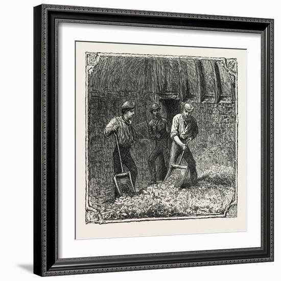 Hops and Hop Pickers, in a Kentish Hop Garden, Kent, England, Turning Hops in the Kiln, 1876, Uk-null-Framed Giclee Print