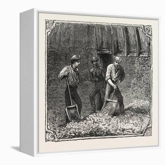 Hops and Hop Pickers, in a Kentish Hop Garden, Kent, England, Turning Hops in the Kiln, 1876, Uk-null-Framed Premier Image Canvas