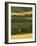 Hops, Darent Valley, Near Shoreham, Kent, England, United Kingdom, Europe-David Hughes-Framed Photographic Print