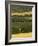 Hops, Darent Valley, Near Shoreham, Kent, England, United Kingdom, Europe-David Hughes-Framed Photographic Print